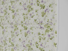 Syringa