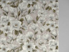 Grandiflora