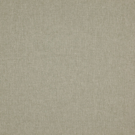 Speck