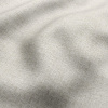 Lint