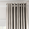Avy